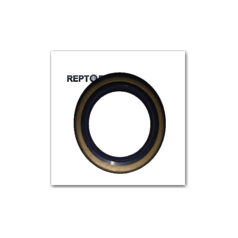 Uszczelniacz Briggs & Stratton Classic,Sprint,Quatro (49-0400, 299819)