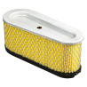 Filtr powietrza Briggs&Stratton 493909 496894