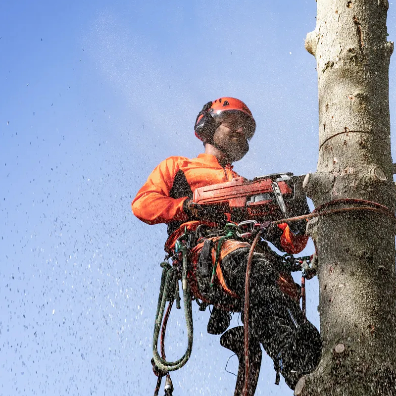 Pilarka Husqvarna 550XP Mark II 4KM (9676908-35) www.Reptor.pl