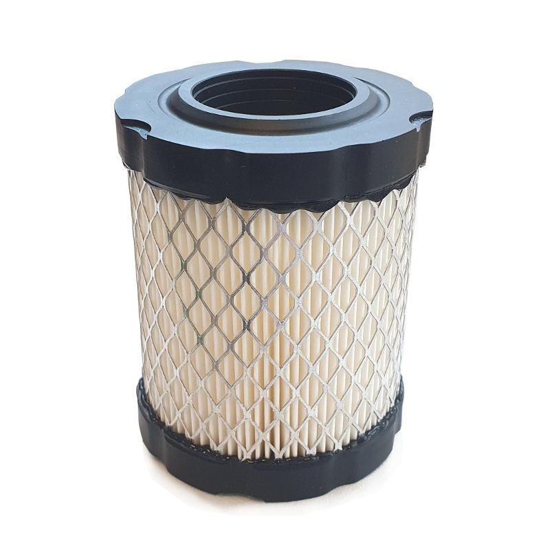 Filtr powietrza Briggs