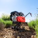 Glebogryzarka spalinowa AL-KO MH 540 Comfort - sklep REPTOR Tarnobrzeg